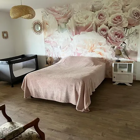 בית נופש Chez Ghislaine Saint-Appolinard (Isere)